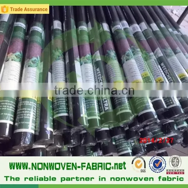 Agriculture Used Non Woven Fabric for Ground Cover photo-5