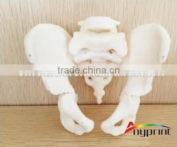 Middle Size 3D Printer Human Skeleton Printing Machine Orthotics Printing Machine photo-2