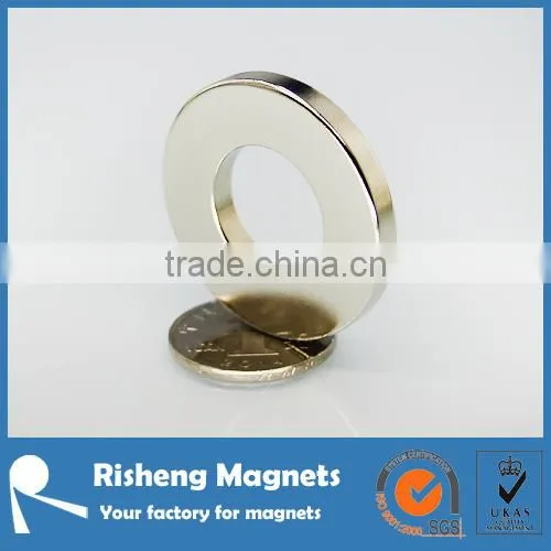 Large Radial Magnetization Ring Magnet Supplier