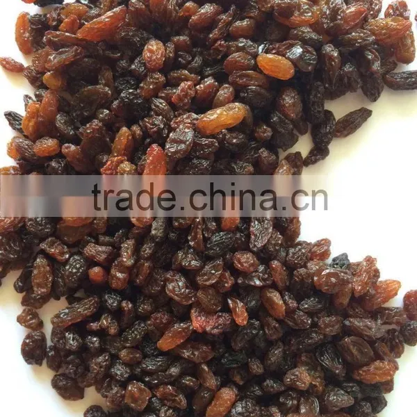 Fast Selling AD Dried Brown Sultana Raisins photo-3