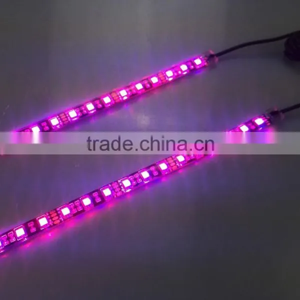 Waterproof Flexible 5050 12V/220V Led Strip Light photo-2
