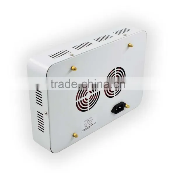 Wholesale Red Yellow Spectrum Mini 300W Hydroponic Grow Light photo-3