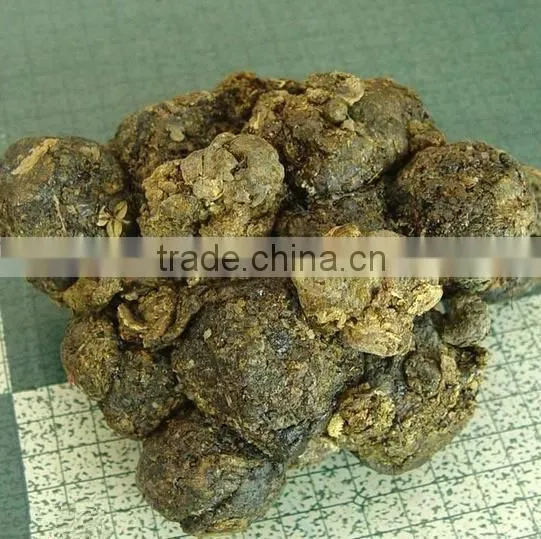 Chinese Green Propolis photo-4