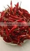 Red Chilli