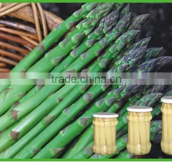 Asparagus and Fresh product canned