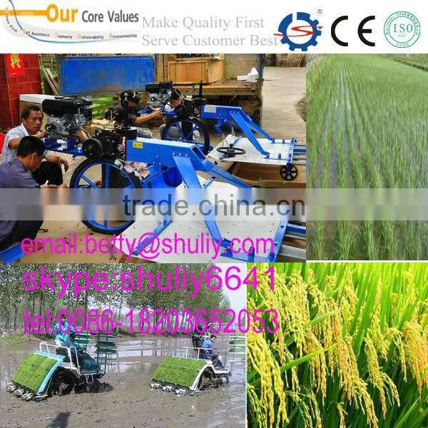 Agricultural Planting Machine/rice Planting Machine/rice Planter