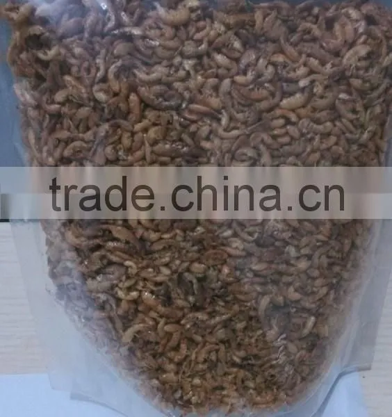 Protein Dried Insects photo-4