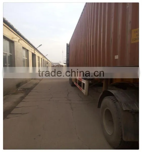 High Quality 2*2 Galvanized Welded Wire Mesh for Sale photo-3