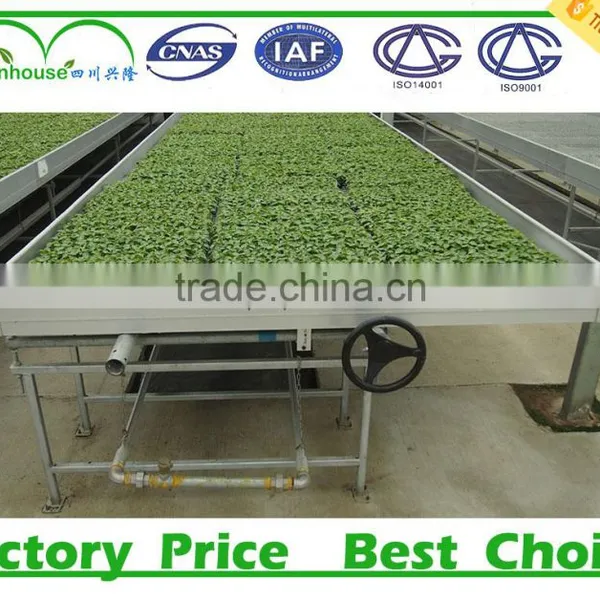 Plastic Greenhouse Agriculture photo-5