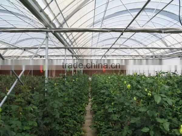 Flower Greenhouse photo-3