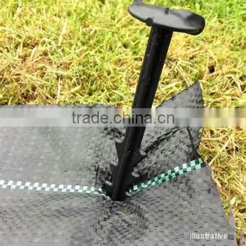 PP or PE Plastic Weed Control Fabric With Green Line photo-6