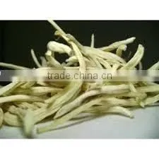 Chlorophytum Borivilianum Extract photo-4