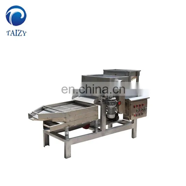 Taizy Almond Crusher Peanut Crushing Cashew Nut Cutting Machine With High Quality photo-5