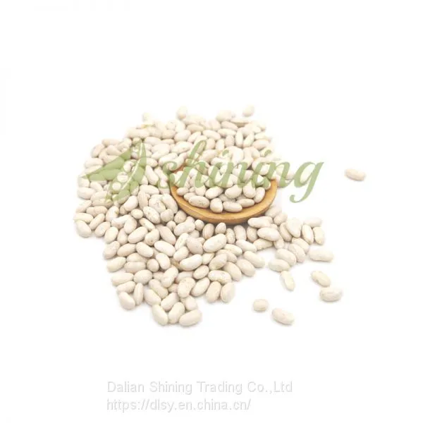Color Sorting Quality Spanish White Kidney Beans
