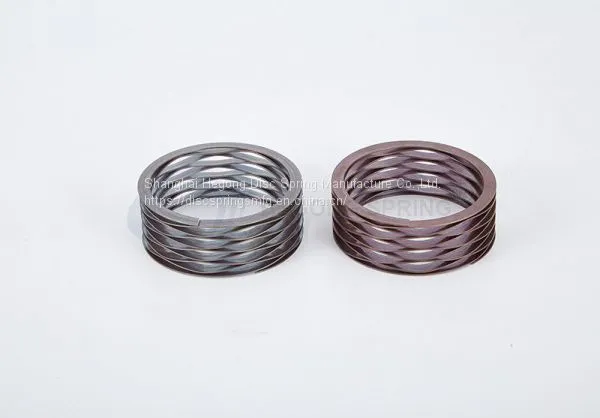 Wave Springs photo-2