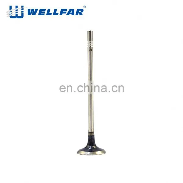 High Quality Auto Engine Intake and Exhaust Valve photo-2