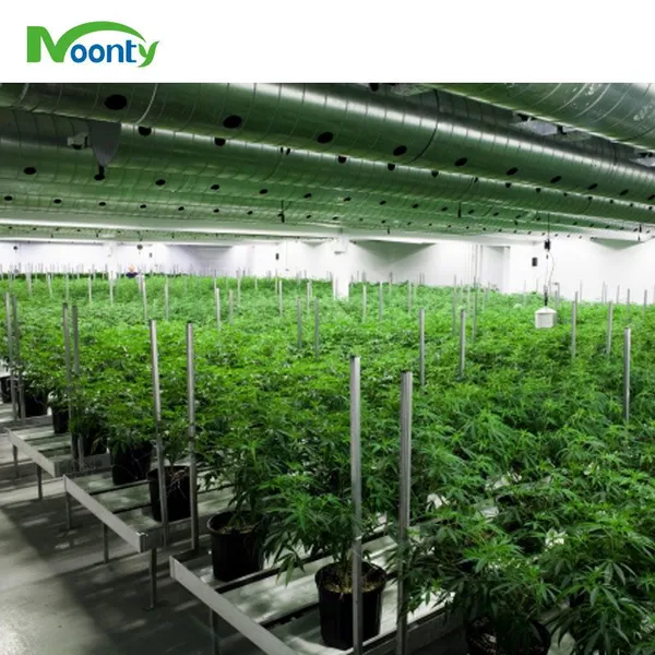 Light Deprivation Blackout Tunnel Greenhouse for Canada USA Medical Plants photo-5