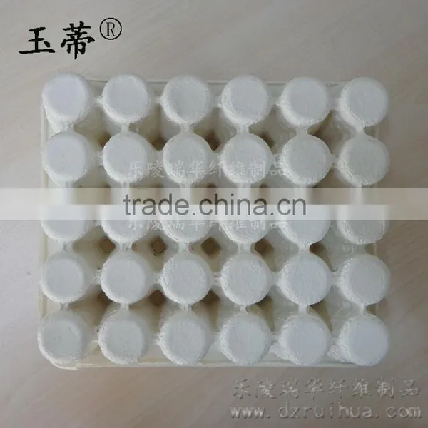 Veterinary Medicine Box