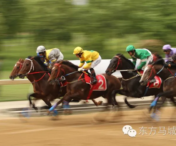 Horse Racing Scoring System photo-5