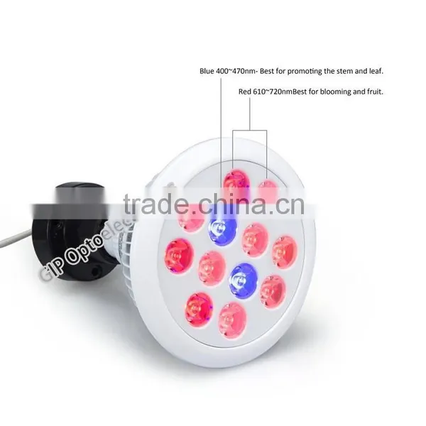 Hot Sale E27 12w/24w Red/Blue Emitting Color PAR38 Family Indoor LED Plant Lamp photo-2