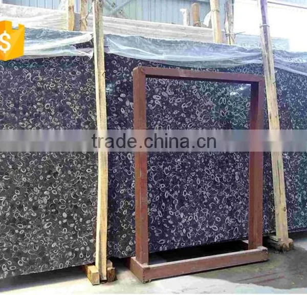 Cheaper Superior Supply Black Fossil Marble Decorative Wall Tile photo-2