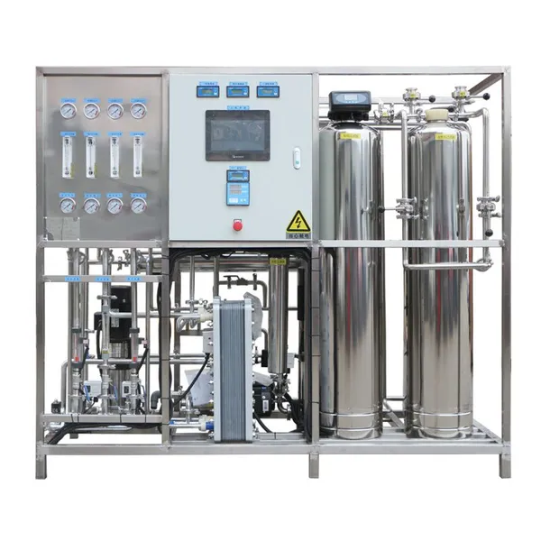 High Purity Stainless Steel 500LPH EDI Ultrapure Water System Electrodeionization RO EDI Pure Water Plant for Pharmaceutical Laboratory Use