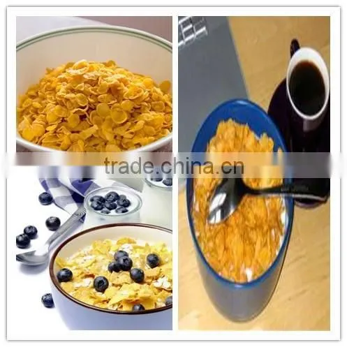 Corn Flake & Breakfast Cereals Machinery/processing Line /making Machine photo-3