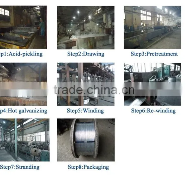 Galvanized Type and Manufacturing,earth Wire Application Galvanized Steel Wire photo-6