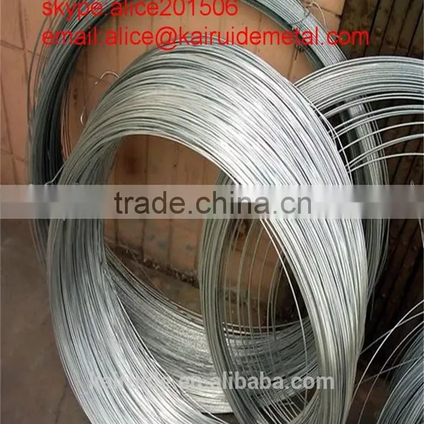 All Size of High Quality Galvanized Wire/competitive Price Gi Wire Factory photo-6