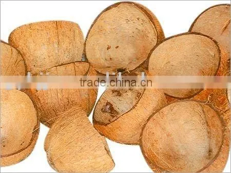 Coconut Briquette Machine