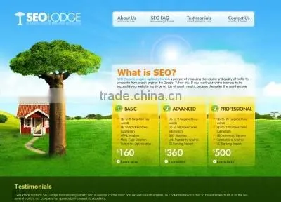 Professional Social Media Optimization Services in India photo-4