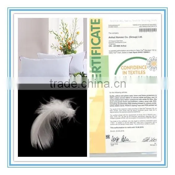 New Arrival Product Wholesale Cheap 2-4cm White Duck Fether Pillow photo-2