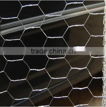 Anping Galvanized Hexagonal Wire Mesh/ Chicken Wire / PVC Coated Chicken Fence photo-5