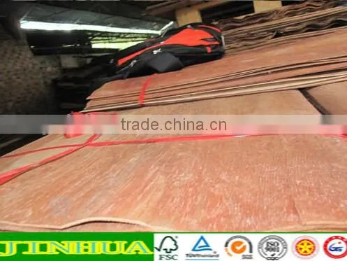 0.28mm Keruing Veneer for India Market photo-2