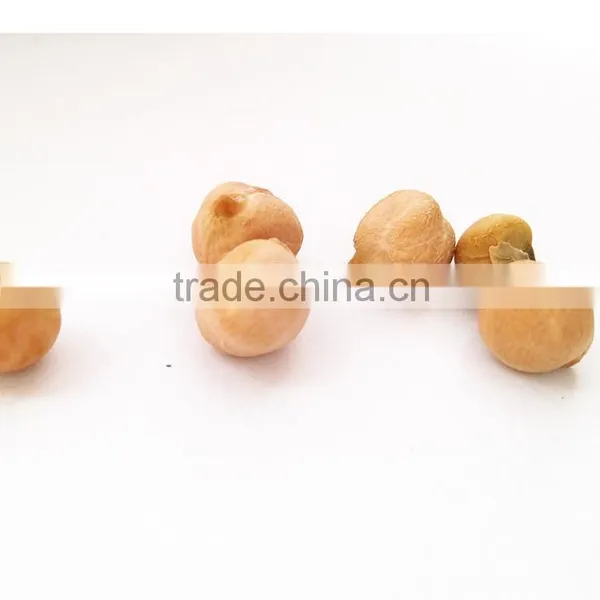 More Than 8 mm Fresh Chickpeas Xinjiang Chickpea Pois Chiche photo-4
