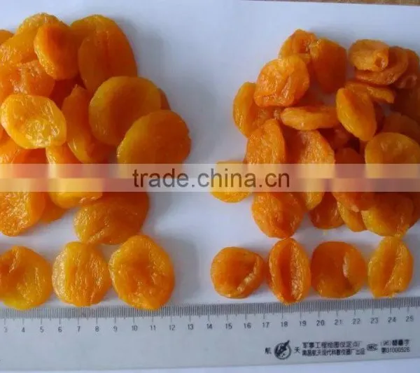 Chinese Dried Apricot for Sale photo-3