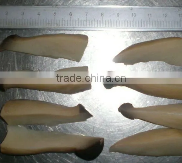 Brined Eryngii Mushroom in Drums