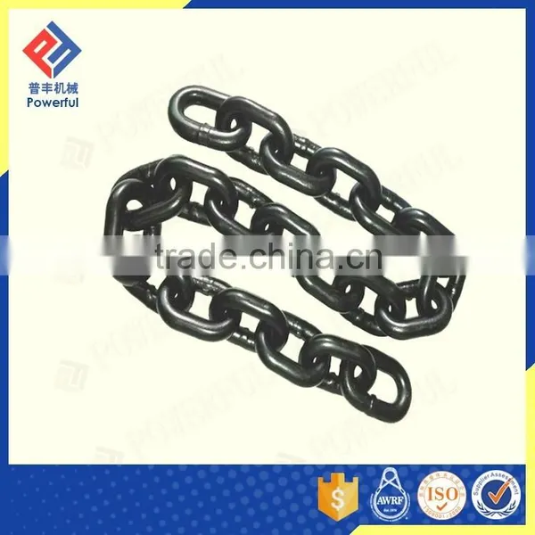 G100 Alloy Steel Lifting Chain photo-3
