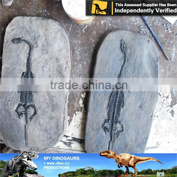 MY Dino-C093 Museum Exhibition Dinosaur Egg Specimen photo-4