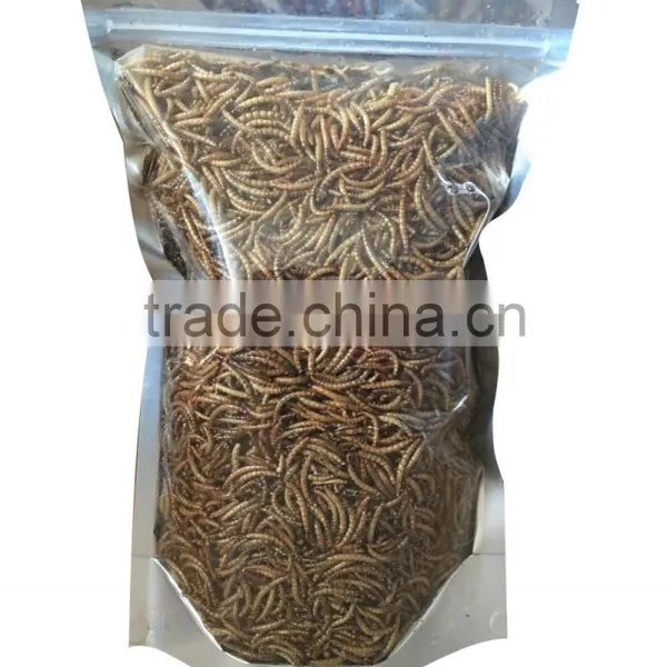Lower Price Dried Mealworms for Pets, Birds, Chickens