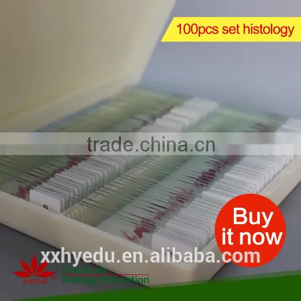 Amphiuma Microscope Prepared Slides Frog Tissue and Organ Slides Tadpole Prepared Slides photo-6