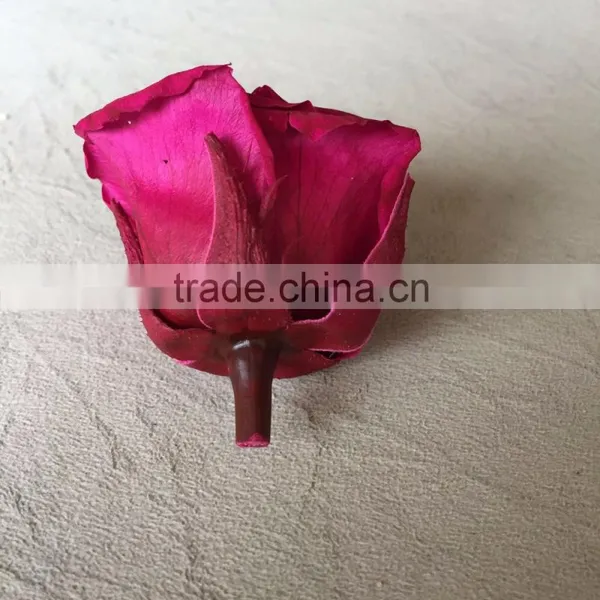 Wholesale Real Natural Preserved Roses Everasting Roses Preserve Flower photo-5