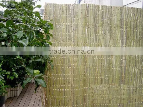 Hot Sale!!! High Quality and Cheap Bamboo Fence Ceitificate Approved photo-6