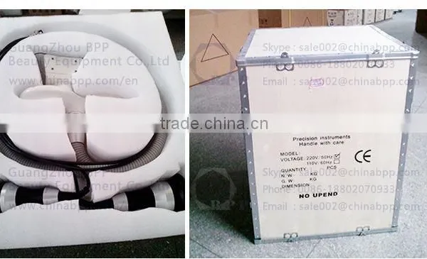 Wholesale Portable Lipo Reduction Ice Therapy Weight Loss photo-5