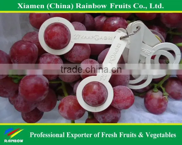 Fresh Red Sweet Seeded Grape Fruit Export From China photo-6
