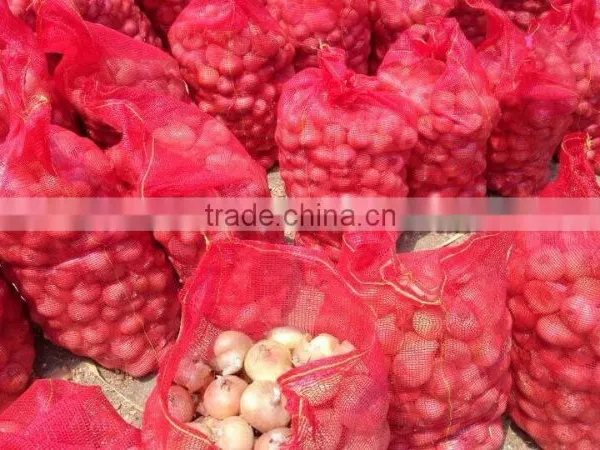 ONION SIZES ( 40 - 60 - 50 - 70 - 60 - 80 - up to 100 mm ) photo-2