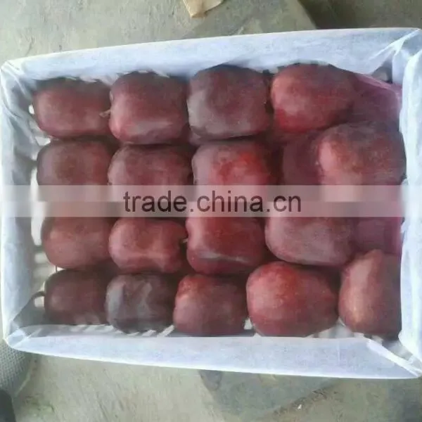 Huaniu Apples Red Delicous of Year 2015 photo-2