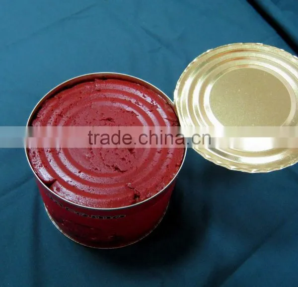 Oem Brand Canned Food Organic Flavor Tomato Paste Bright Red Color Tomato Ketchup Good Quality photo-5