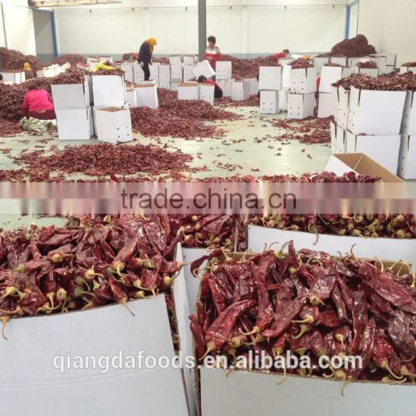 Paprika Prices photo-2