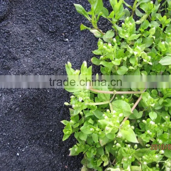 P2O5 57% Diammonium Hydrogen Phosphate Fertilizer DAP photo-3